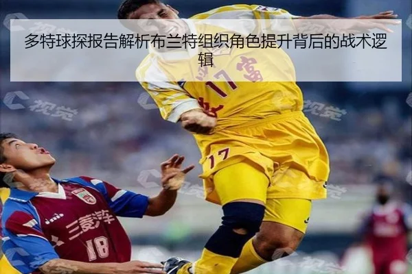 img_1781805975561_2494_1_896.jpg