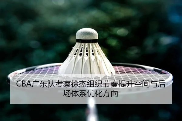 CBA广东队考察徐杰组织节奏提升空间与后场体系优化方向