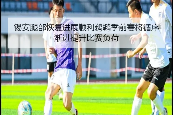 锡安腿部恢复进展顺利鹈鹕季前赛将循序渐进提升比赛负荷